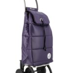 I-Max Polar 4 Ruedas