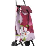 I-Max Taku 2 Ruedas